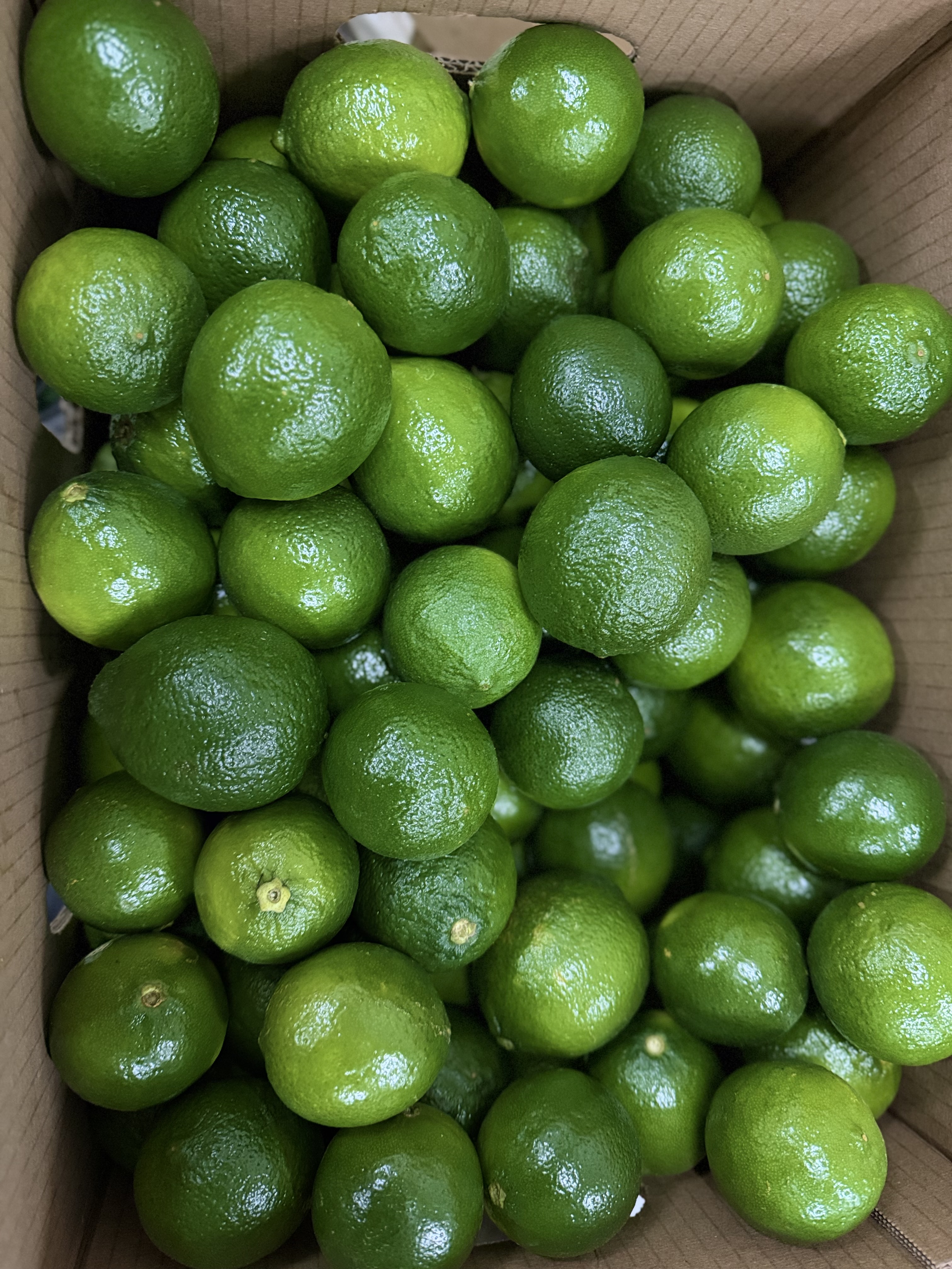 Limón Tahití de exportación